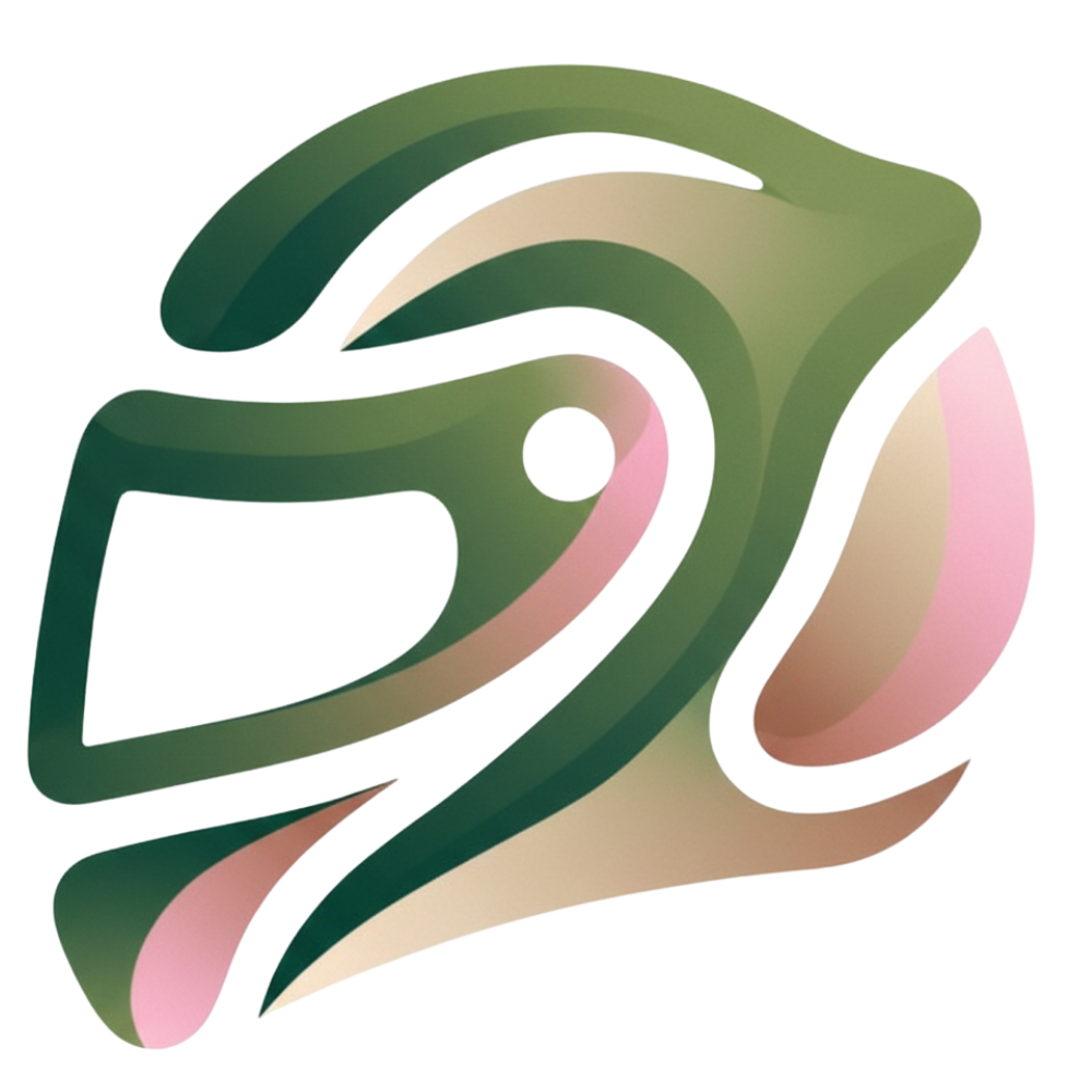 Autamubilismo Helmet